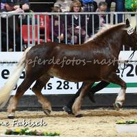 DSC 5480